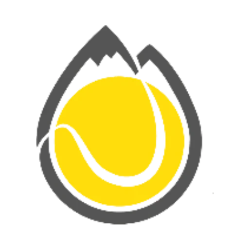 TC Schwanden logo