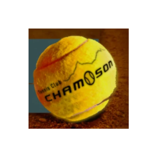 TC Chamoson logo