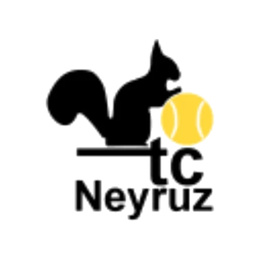 TC Neyruz logo