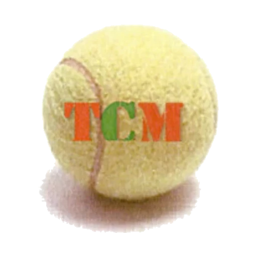 TC Mosnang logo