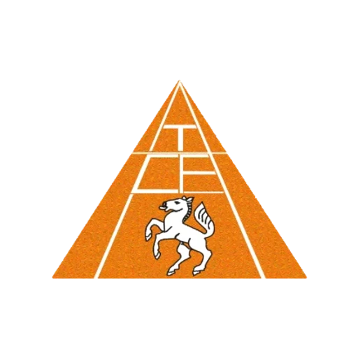 TC Füllinsdorf logo